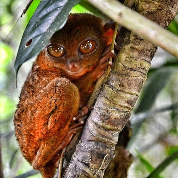 08895166-0D82-4825-BB60-A5AFF9B9900A