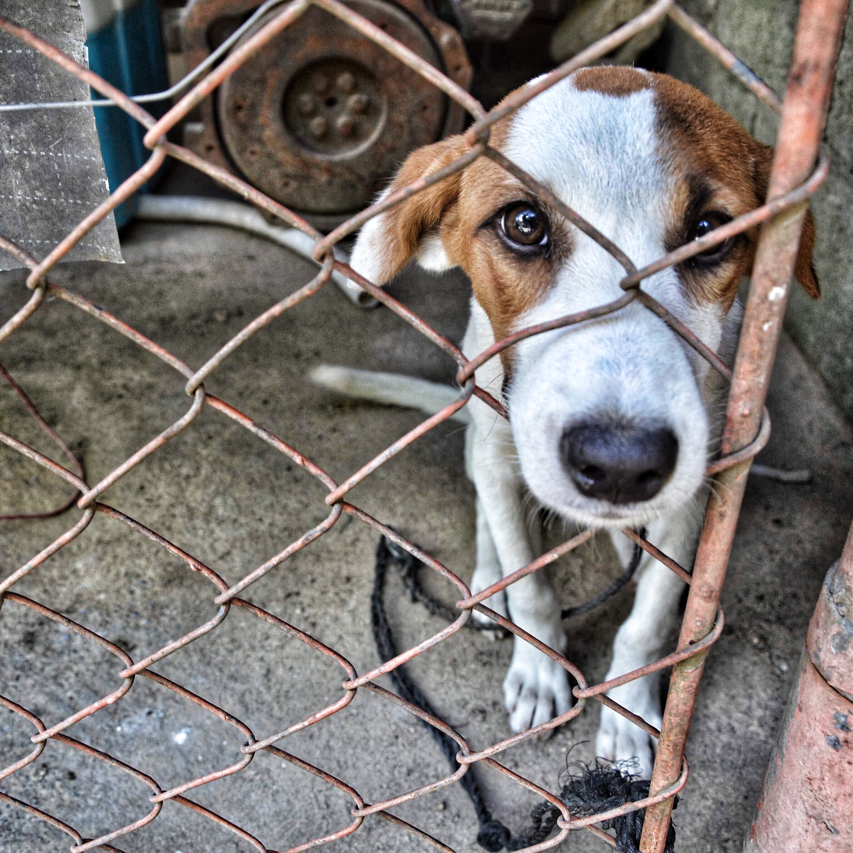 62D919D7-7002-4742-A5DF-004468713F6F